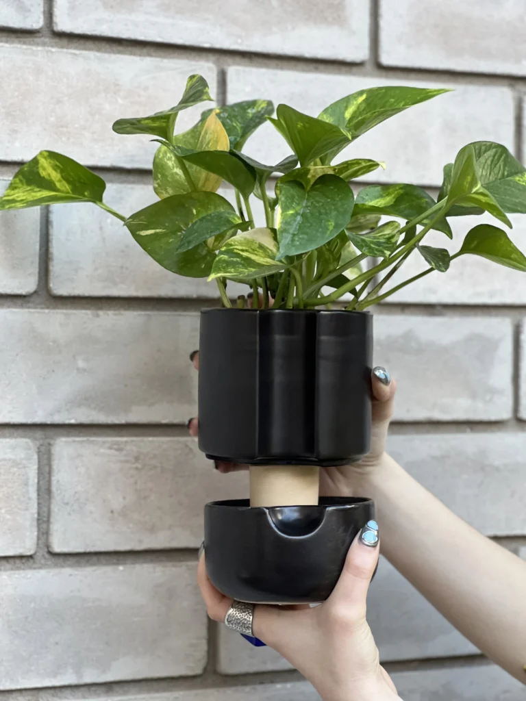 maceta de cerámica negra mate con sistema de riego por absorción capilar